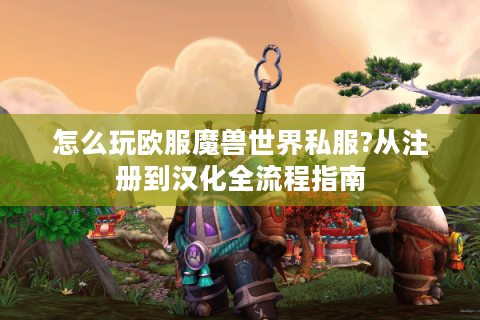 怎么玩欧服魔兽世界私服?从注册到汉化全流程指南