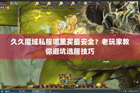 久久魔域私服哪里买最安全？老玩家教你避坑选服技巧