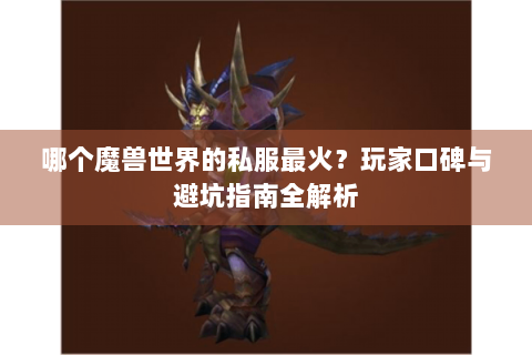 哪个魔兽世界的私服最火？玩家口碑与避坑指南全解析