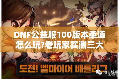 DNF公益服100版本柔道怎么玩?老玩家实测三大流派解析