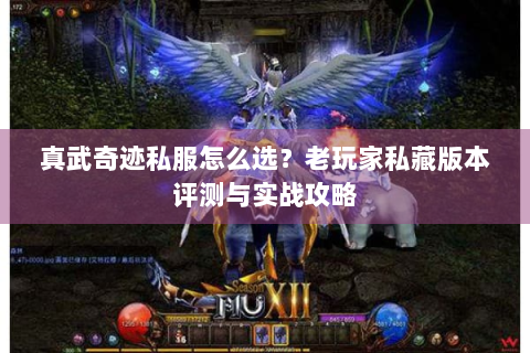 真武奇迹私服怎么选？老玩家私藏版本评测与实战攻略
