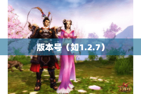 版本号（如1.2.7）