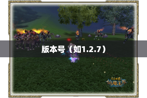 版本号（如1.2.7）