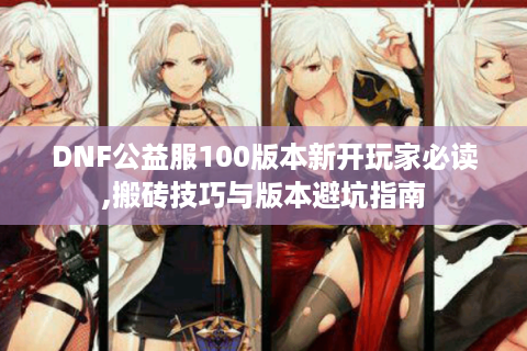 DNF公益服100版本新开玩家必读,搬砖技巧与版本避坑指南