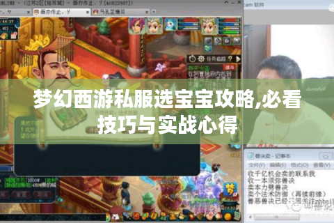 梦幻西游私服选宝宝攻略,必看技巧与实战心得
