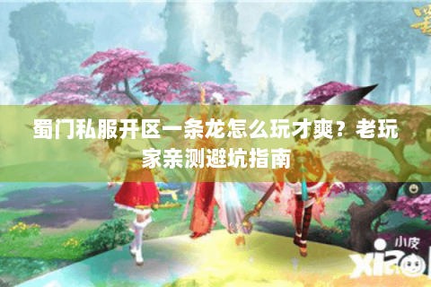 蜀门私服开区一条龙怎么玩才爽？老玩家亲测避坑指南