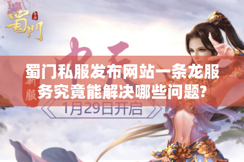 蜀门私服发布网站一条龙服务究竟能解决哪些问题?