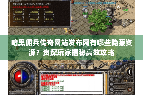 暗黑佣兵传奇网站发布网有哪些隐藏资源？资深玩家揭秘高效攻略