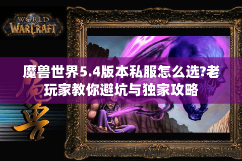 魔兽世界5.4版本私服怎么选?老玩家教你避坑与独家攻略