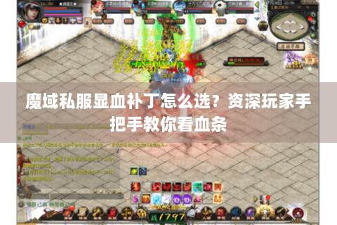 魔域私服显血补丁怎么选？资深玩家手把手教你看血条