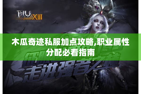 木瓜奇迹私服加点攻略,职业属性分配必看指南