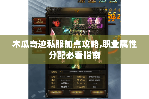木瓜奇迹私服加点攻略,职业属性分配必看指南
