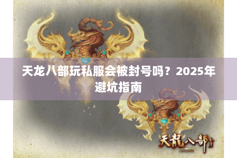 天龙八部玩私服会被封号吗？2025年避坑指南