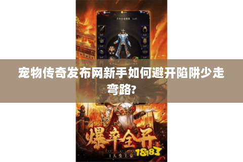 宠物传奇发布网新手如何避开陷阱少走弯路?