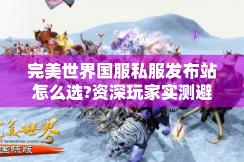 完美世界国服私服发布站怎么选?资深玩家实测避坑指南