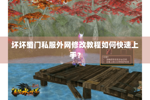 坏坏蜀门私服外网修改教程如何快速上手？