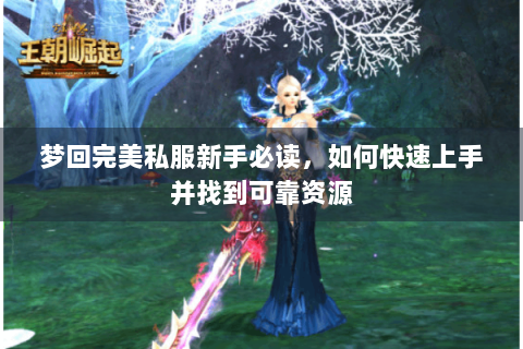 梦回完美私服新手必读，如何快速上手并找到可靠资源