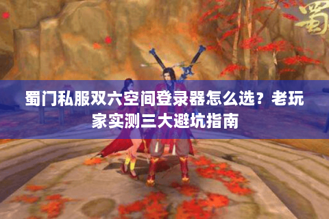 蜀门私服双六空间登录器怎么选？老玩家实测三大避坑指南