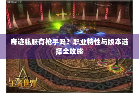 奇迹私服有枪手吗？职业特性与版本选择全攻略