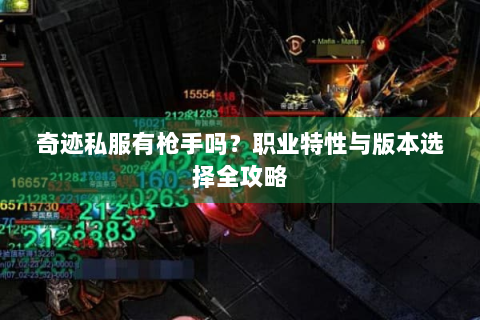 奇迹私服有枪手吗？职业特性与版本选择全攻略