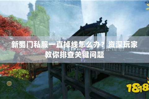 新蜀门私服一直掉线怎么办？资深玩家教你排查关键问题