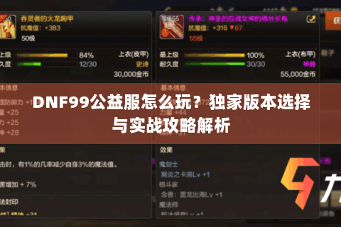 DNF99公益服怎么玩？独家版本选择与实战攻略解析