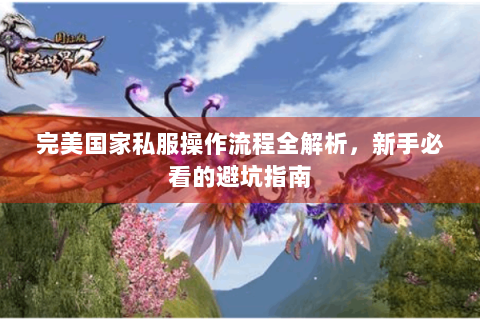 完美国家私服操作流程全解析，新手必看的避坑指南
