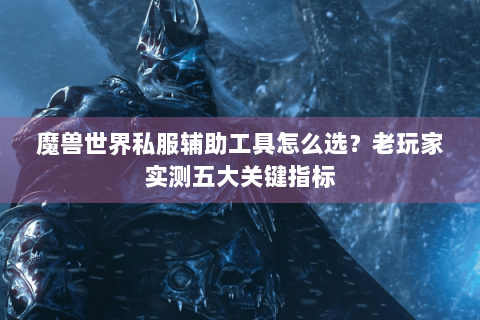 魔兽世界私服辅助工具怎么选？老玩家实测五大关键指标