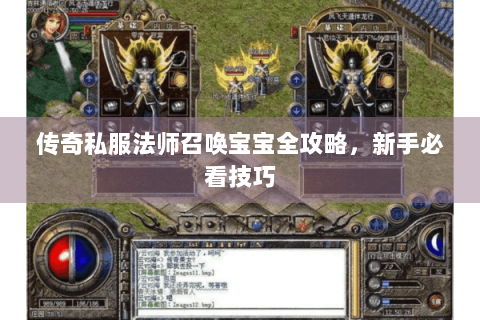 传奇私服法师召唤宝宝全攻略，新手必看技巧