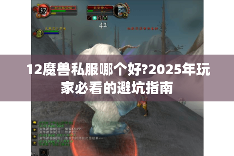 12魔兽私服哪个好?2025年玩家必看的避坑指南
