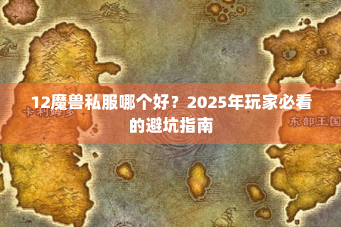 12魔兽私服哪个好？2025年玩家必看的避坑指南