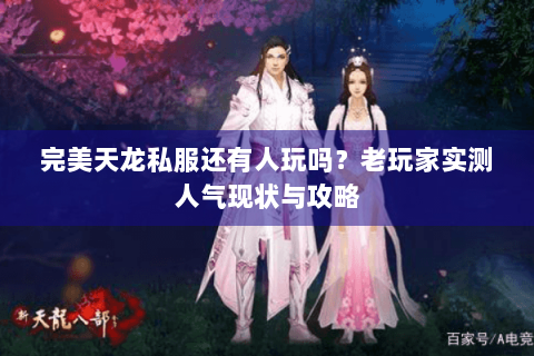 完美天龙私服还有人玩吗？老玩家实测人气现状与攻略
