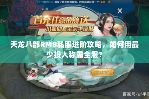 天龙八部RMB私服进阶攻略，如何用最少投入称霸全服？
