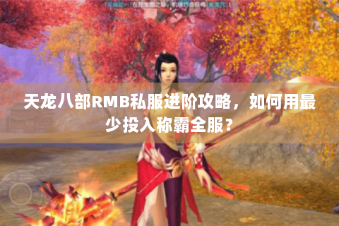 天龙八部RMB私服进阶攻略，如何用最少投入称霸全服？