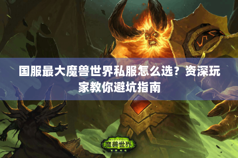 国服最大魔兽世界私服怎么选？资深玩家教你避坑指南