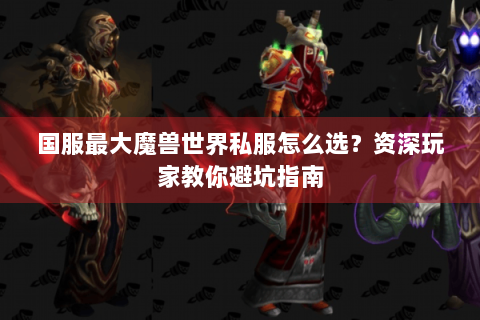 国服最大魔兽世界私服怎么选？资深玩家教你避坑指南