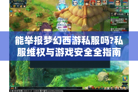 能举报梦幻西游私服吗?私服维权与游戏安全全指南