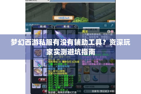 梦幻西游私服有没有辅助工具？资深玩家实测避坑指南