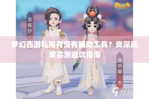 梦幻西游私服有没有辅助工具？资深玩家实测避坑指南