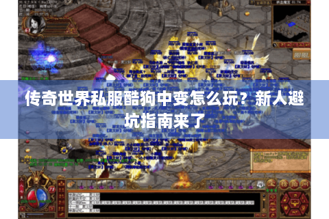 传奇世界私服酷狗中变怎么玩？新人避坑指南来了