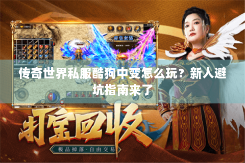 传奇世界私服酷狗中变怎么玩？新人避坑指南来了