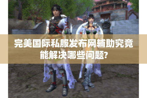 完美国际私服发布网辅助究竟能解决哪些问题?