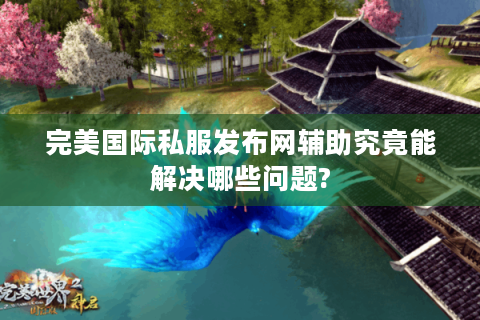 完美国际私服发布网辅助究竟能解决哪些问题?
