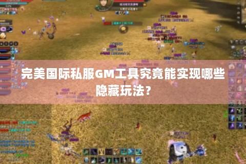 完美国际私服GM工具究竟能实现哪些隐藏玩法？