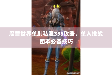 魔兽世界单刷私服335攻略，单人挑战团本必备技巧