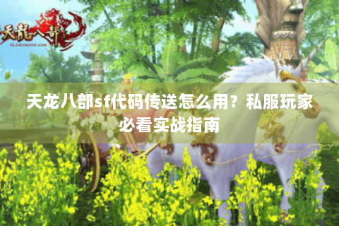 天龙八部sf代码传送怎么用？私服玩家必看实战指南