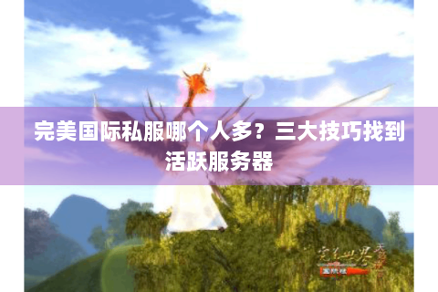 完美国际私服哪个人多？三大技巧找到活跃服务器