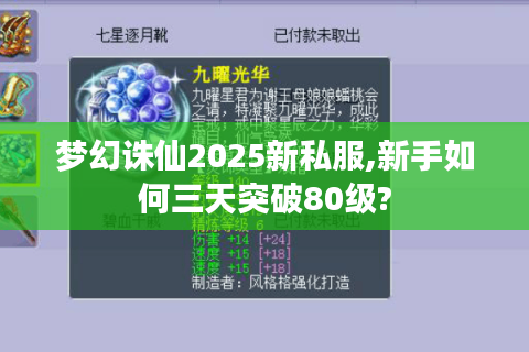梦幻诛仙2025新私服,新手如何三天突破80级?