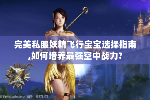 完美私服妖精飞行宝宝选择指南,如何培养最强空中战力?