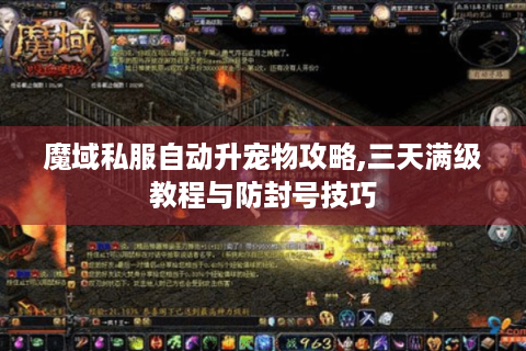 魔域私服自动升宠物攻略,三天满级教程与防封号技巧